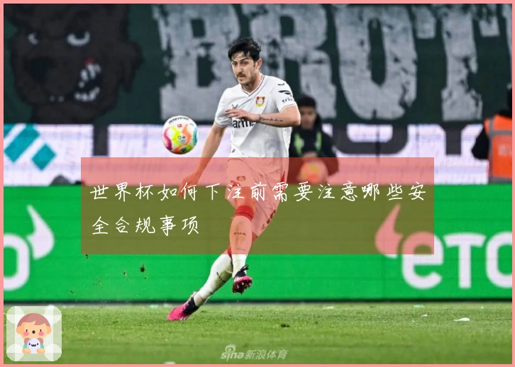 世界杯如何下注前需要注意哪些安全合规事项