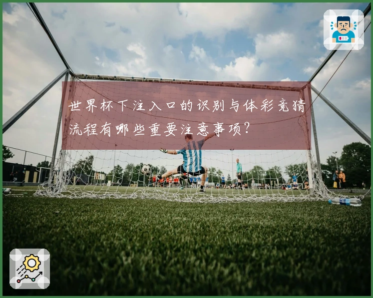 世界杯下注入口的识别与体彩竞猜流程有哪些重要注意事项？