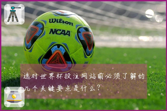 选对世界杯投注网站前必须了解的几个关键要点是什么？