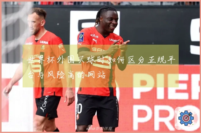 世界杯外围买球时如何区分正规平台与风险高的网站