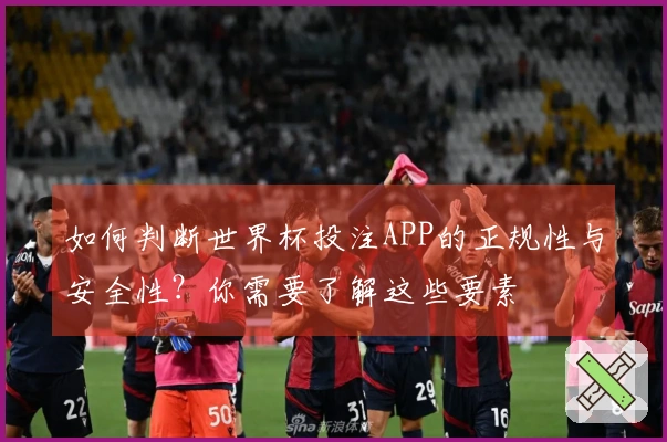 如何判断世界杯投注APP的正规性与安全性？你需要了解这些要素