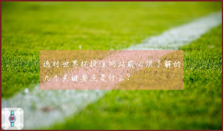 选对世界杯投注网站前必须了解的几个关键要点是什么？