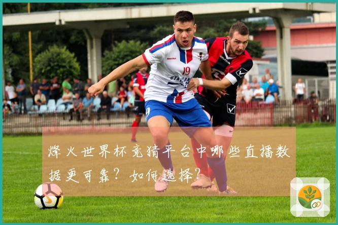 烽火世界杯竞猜平台中哪些直播数据更可靠?如何选择?