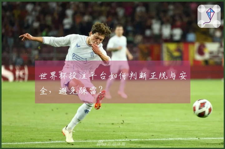 世界杯投注平台如何判断正规与安全，避免踩雷？