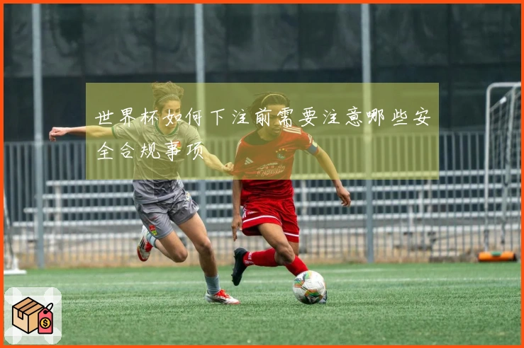 世界杯如何下注前需要注意哪些安全合规事项