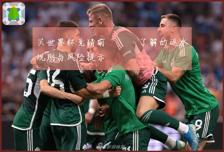 买世界杯竞猜前 반드시了解的返水规则与风险提示