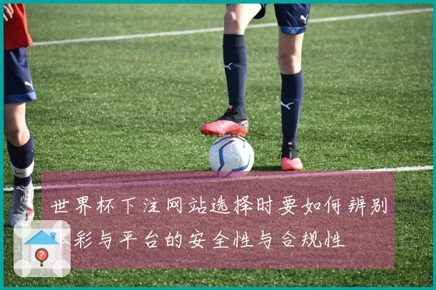 世界杯下注网站选择时要如何辨别体彩与平台的安全性与合规性