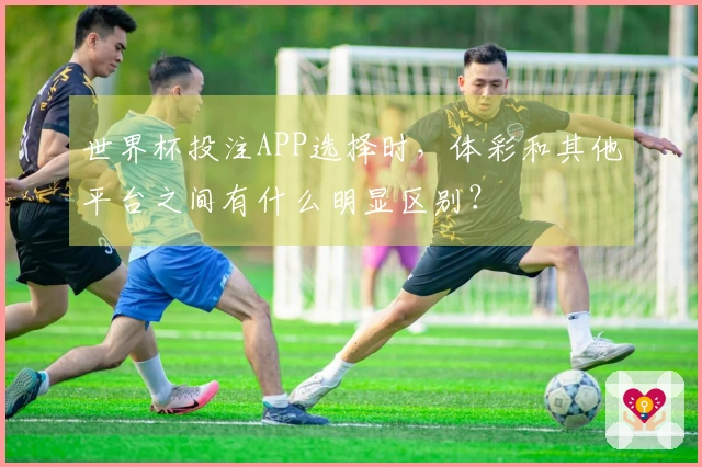世界杯投注APP选择时，体彩和其他平台之间有什么明显区别？