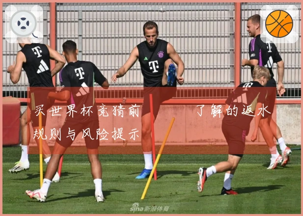 买世界杯竞猜前 반드시了解的返水规则与风险提示