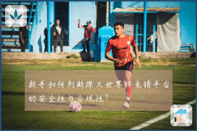 新手如何判断烽火世界杯竞猜平台的安全性与合规性？