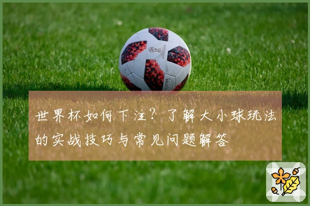世界杯如何下注？了解大小球玩法的实战技巧与常见问题解答