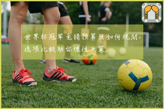 世界杯冠军竞猜预算该如何规划，选项比较助你理性决策
