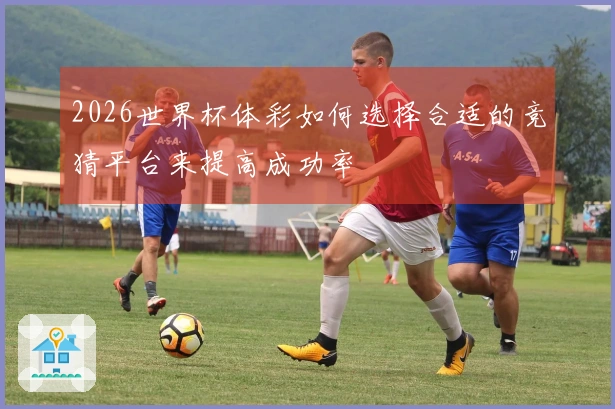 2026世界杯体彩如何选择合适的竞猜平台来提高成功率