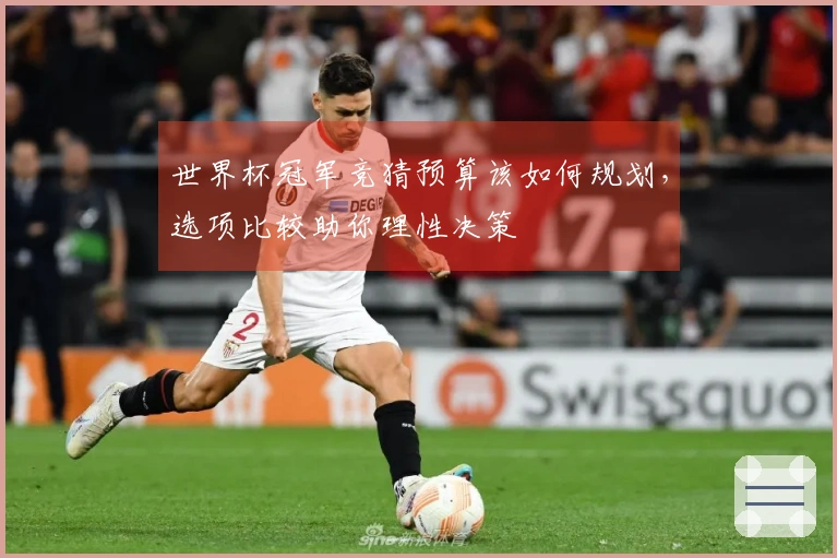 世界杯冠军竞猜预算该如何规划，选项比较助你理性决策