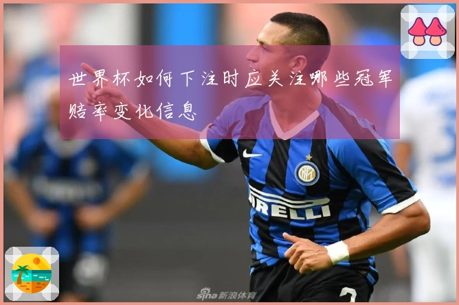 世界杯如何下注时应关注哪些冠军赔率变化信息
