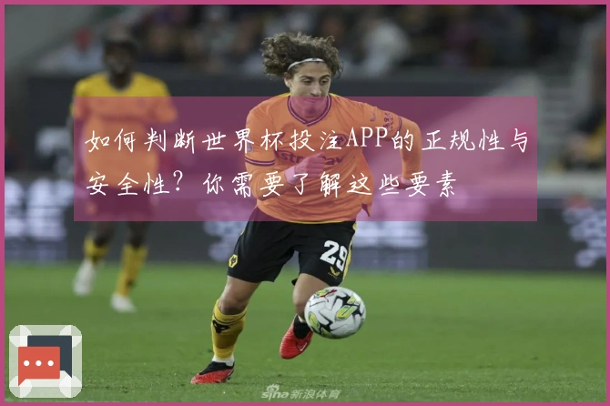 如何判断世界杯投注APP的正规性与安全性？你需要了解这些要素