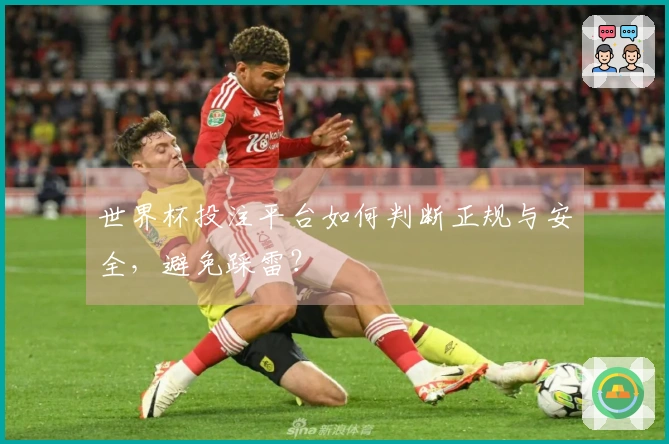 世界杯投注平台如何判断正规与安全，避免踩雷？