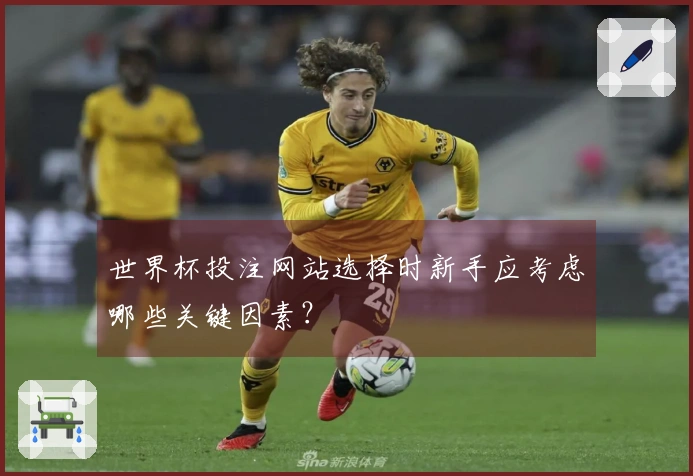 世界杯投注网站选择时新手应考虑哪些关键因素？