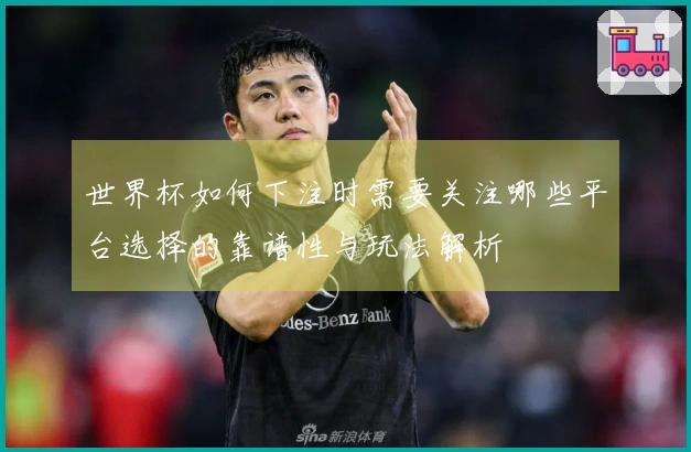 世界杯如何下注时需要关注哪些平台选择的靠谱性与玩法解析