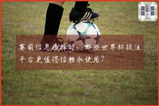 赛前信息选择时，哪些世界杯投注平台更值得信赖和使用？