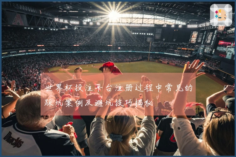 世界杯投注平台注册过程中常见的踩坑案例及避坑技巧揭秘
