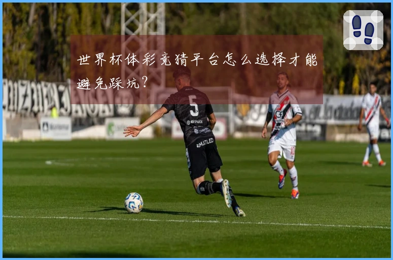 世界杯体彩竞猜平台怎么选择才能避免踩坑？
