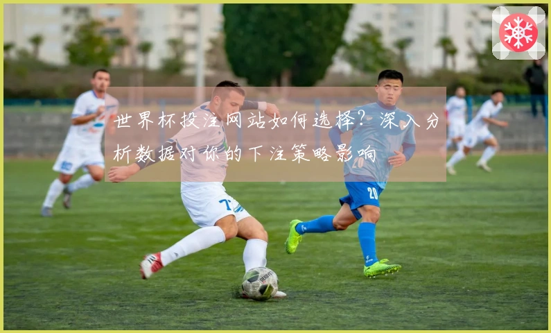 世界杯投注网站如何选择？深入分析数据对你的下注策略影响