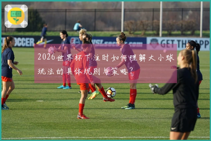 2026世界杯下注时如何理解大小球玩法的具体规则与策略？
