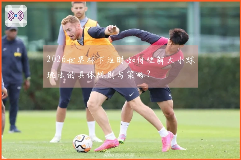 2026世界杯下注时如何理解大小球玩法的具体规则与策略？
