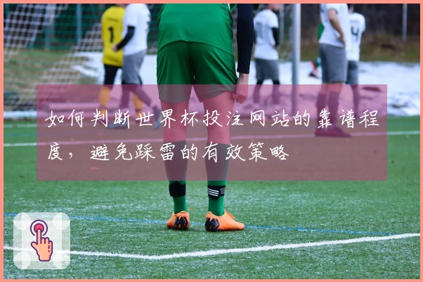 如何判断世界杯投注网站的靠谱程度，避免踩雷的有效策略