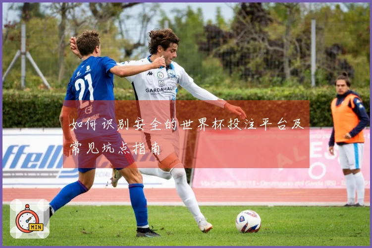 如何识别安全的世界杯投注平台及常见坑点指南